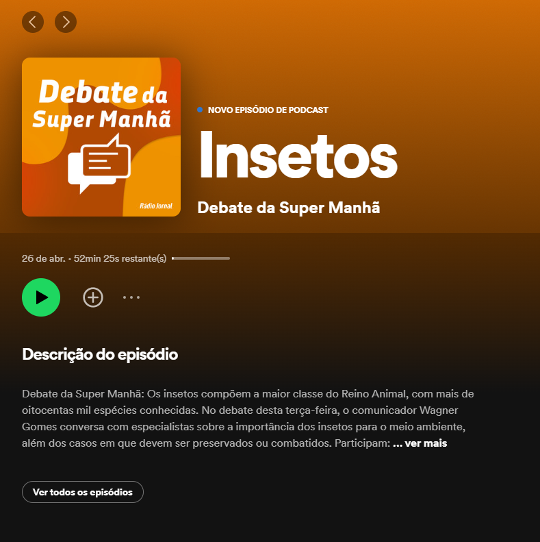insetos